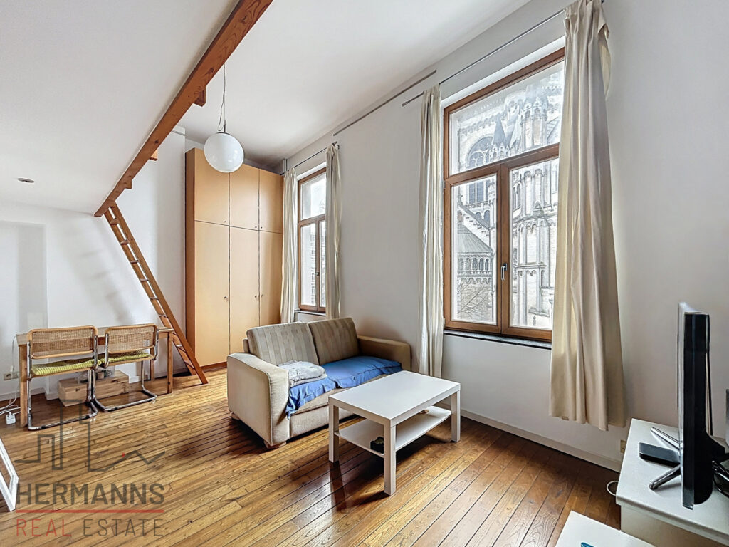 Image propriété 7626098