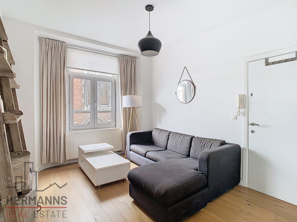 Image propriété 7665532